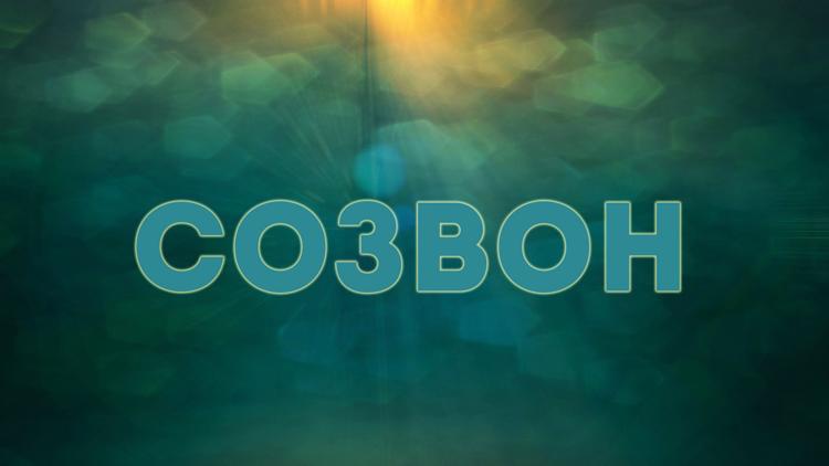 Постер Созвон