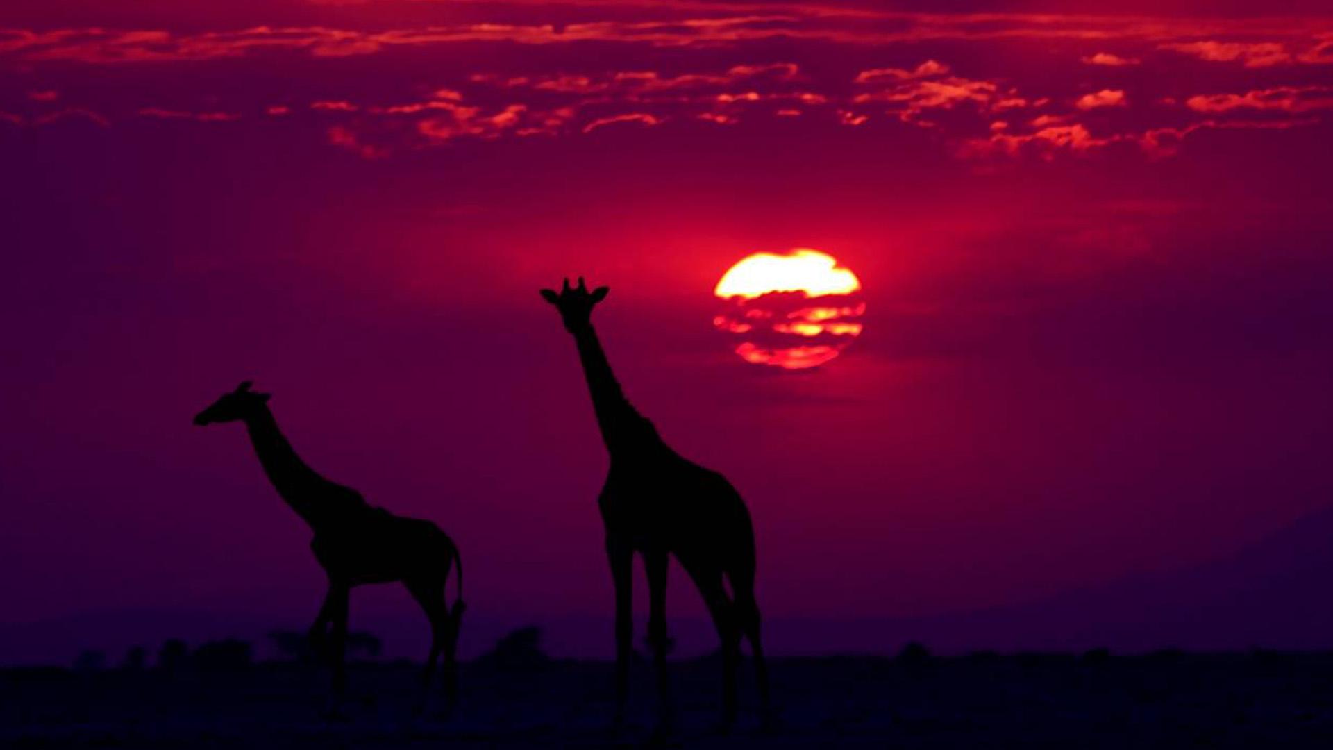 Caycam en África (caycam-en-frica) Досуг, хобби