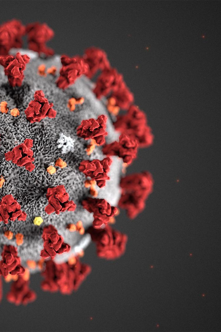 Вирус. Патруль (virus-patrul) Познавательное