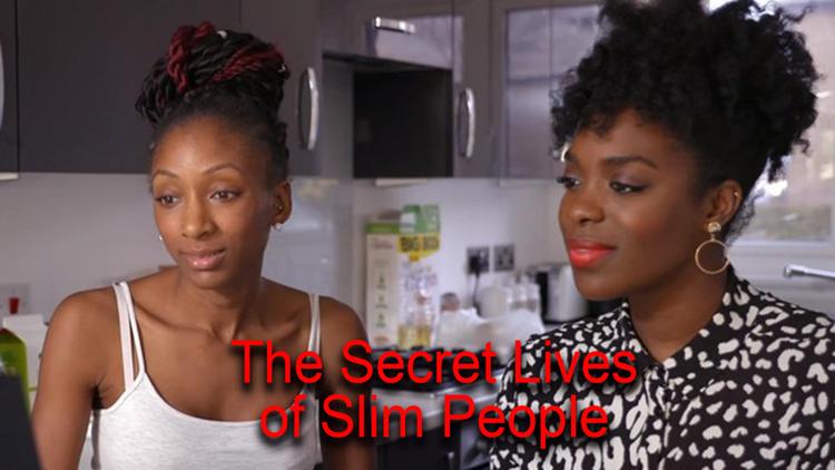 Постер The Secret Lives of Slim People