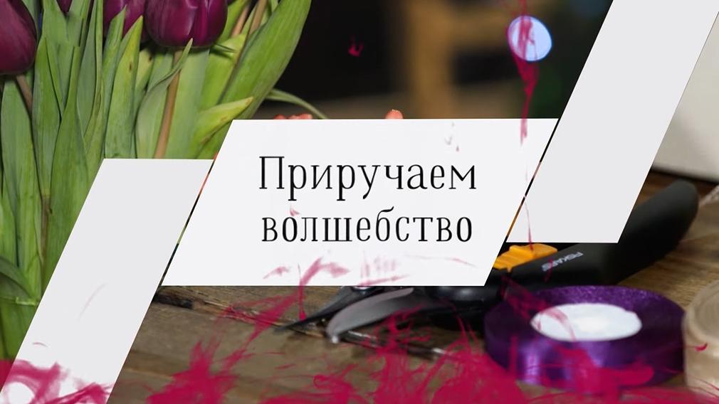 Приручаем волшебство (priruchaem-volshebstvo) Досуг, хобби