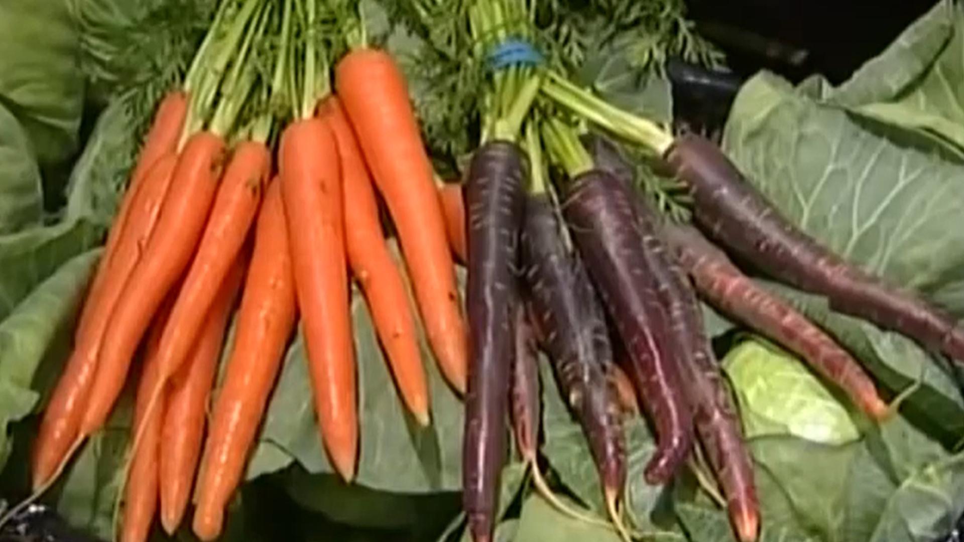 Азбука хорошего самочувствия (azbuka-horoshego-samochuvstvija) Документальный сериал