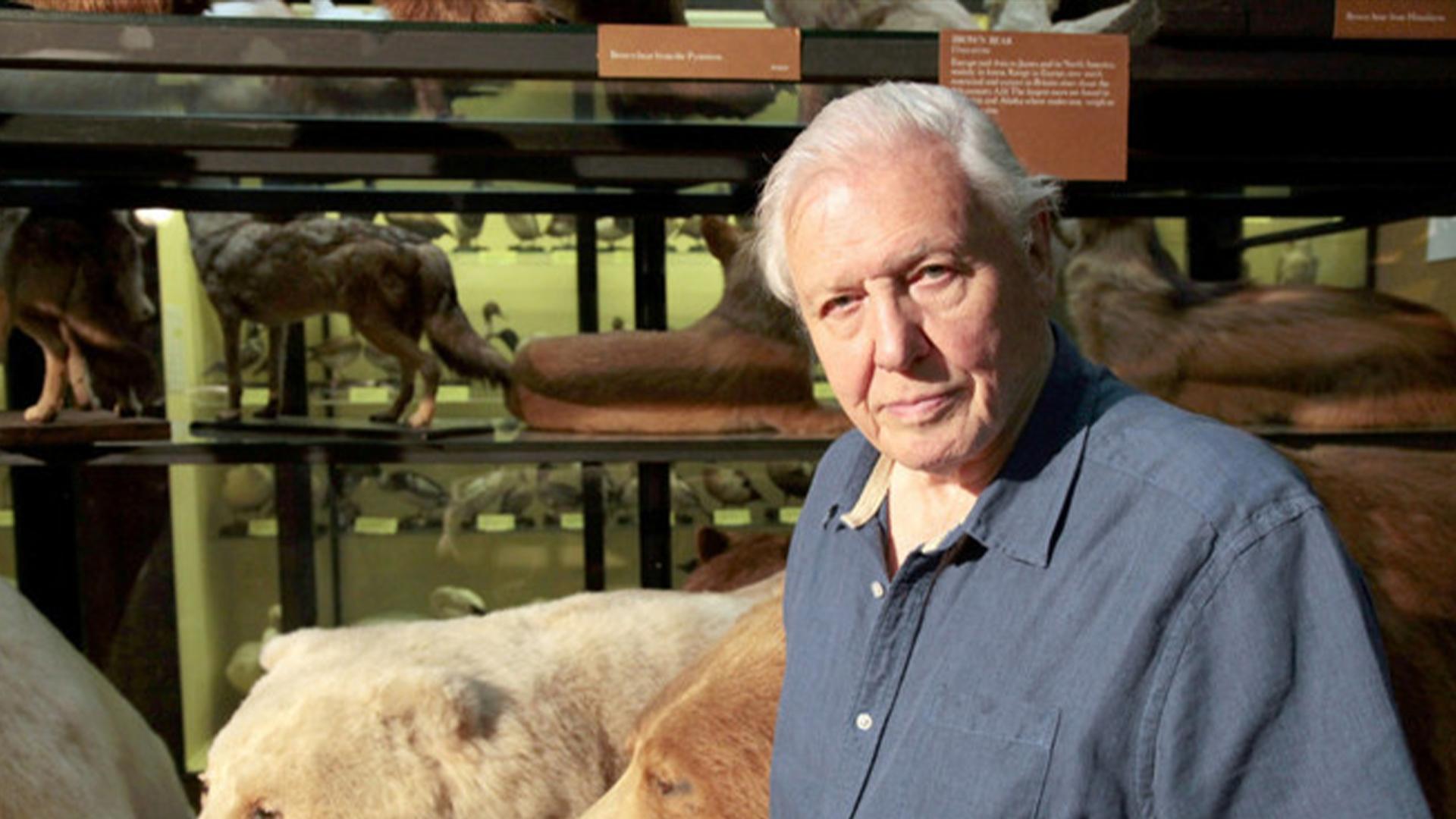 Kurioses aus der Tierwelt (kurioses-aus-der-tierwelt) Познавательное