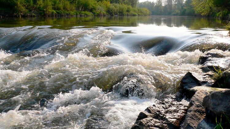 Постер Kamp-Ein Fluss für alle Sinne