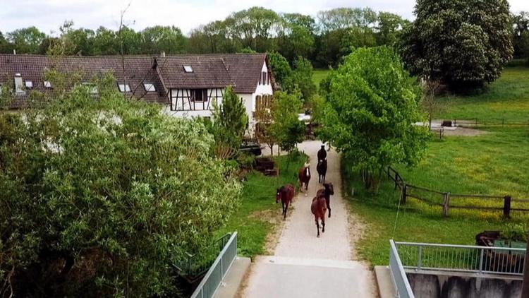 Постер Mühlenträume in Baden-Württemberg