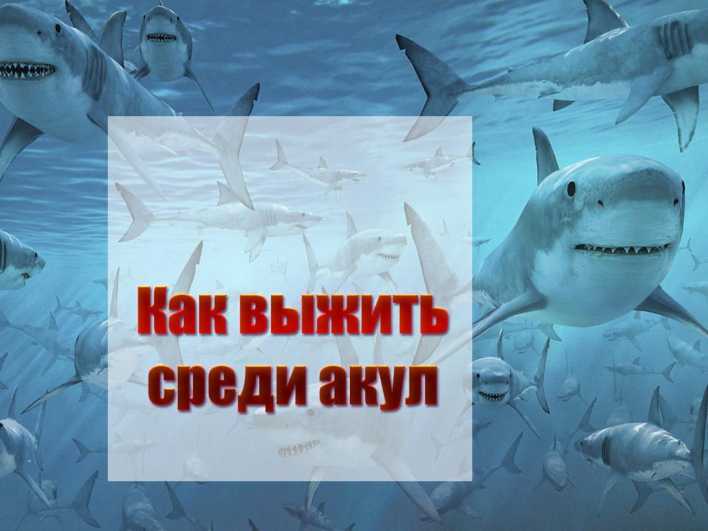 Как выжить среди акул (kak-vyzhit-sredi-akul) Документальный сериал