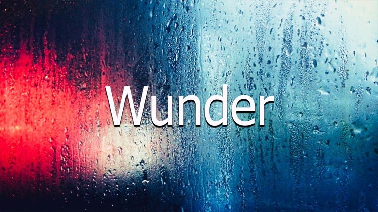 Постер Wunder