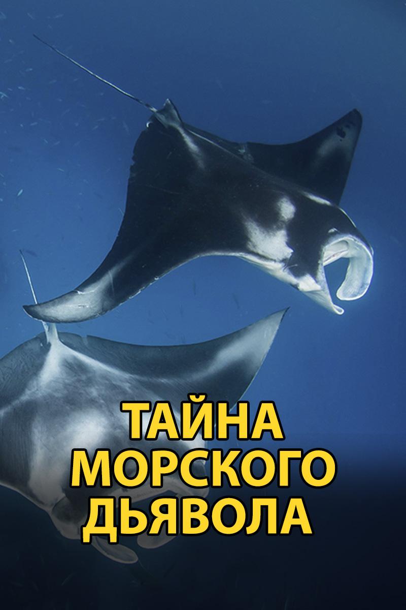 Тайна морского дьявола (tajna-morskogo-djavola) Документальный фильм