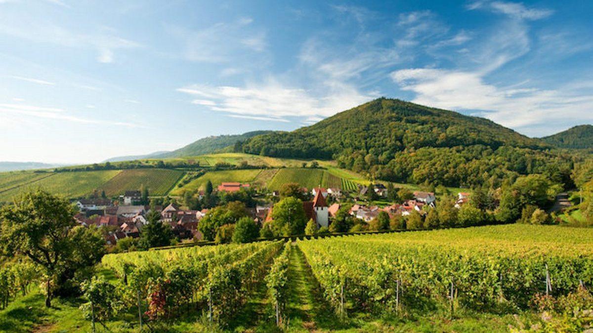 Die Pfalz (die-pfalz) Познавательное