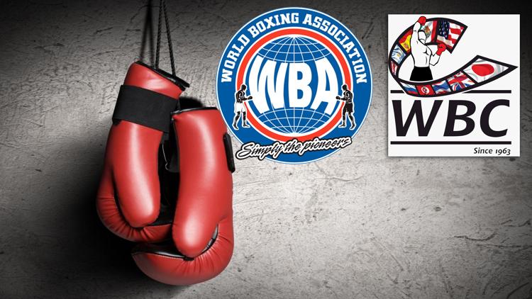 Постер Бой за вакантные титулы WBC и WBA в 1-м лёгком весе. Эрик Моралес - Мэнни Пакьяо. 1-й бой