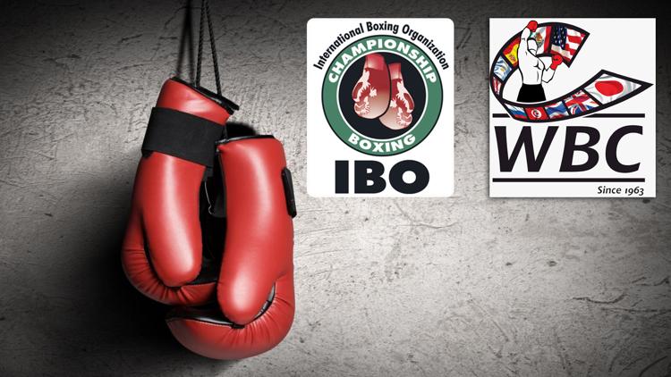 Постер Бой за вакантный титул WBC International и титул IBO в 1-м полусреднем весе. Рикки Хаттон - Хосе Луис Кастильо