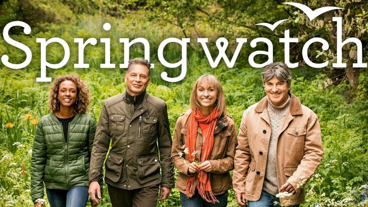 Постер Springwatch