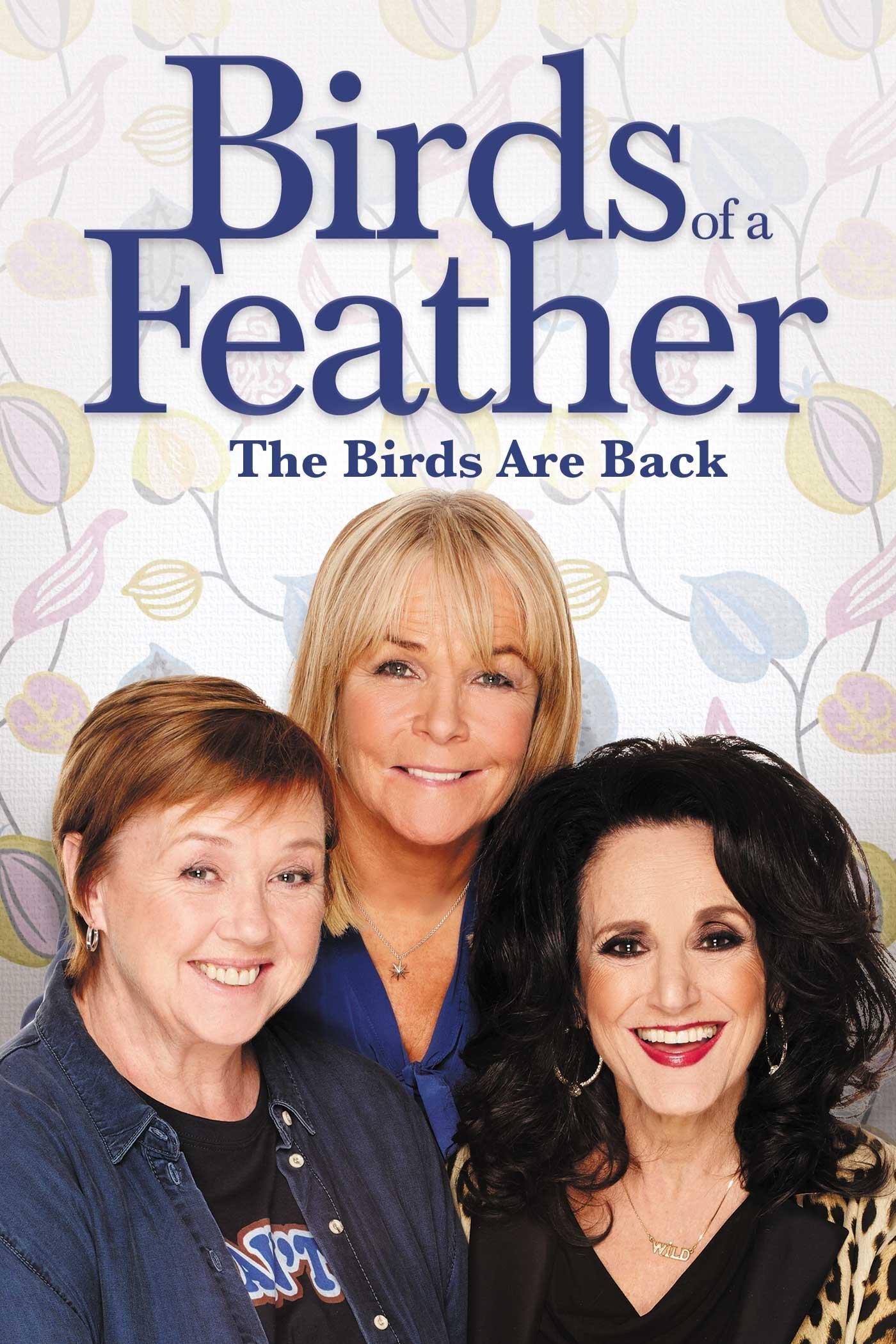 Birds of a Feather (birds-of-a-feather) Сериал 1989