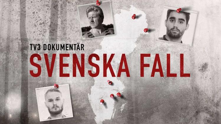 Постер Svenska fall