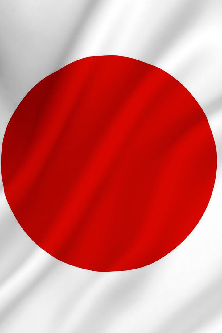 Сделано в Японии (sdelano-v-japonii) Досуг, хобби