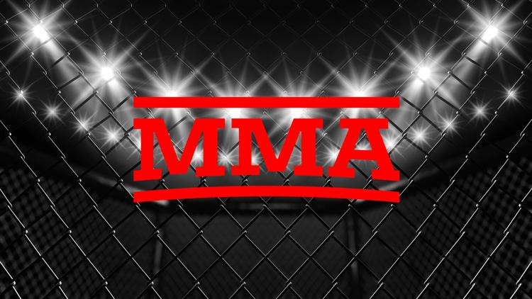 Постер Смешанные единоборства. MMA Series 10: M-1 Online & WKG