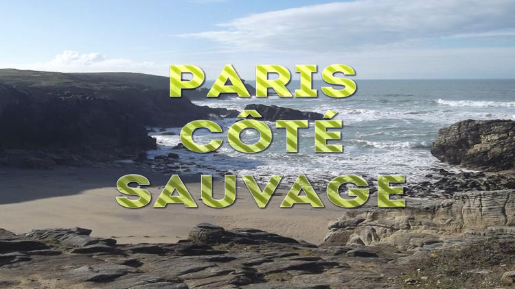 Постер Paris côté sauvage