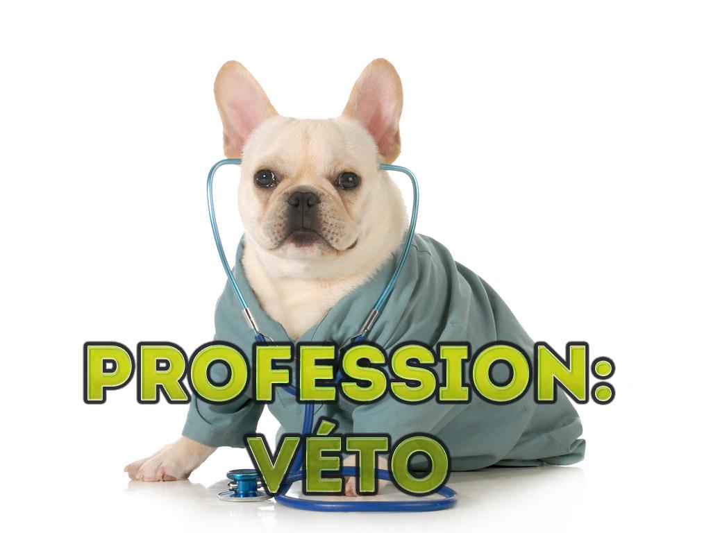 Profession: Véto (profession-vto) Познавательное