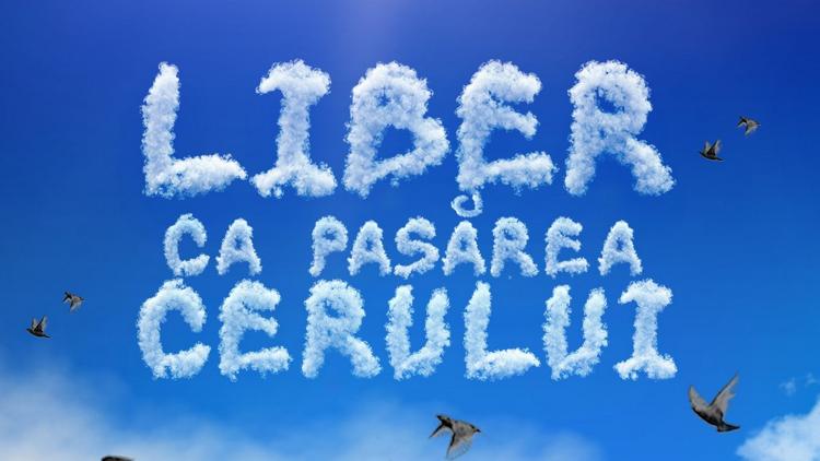 Постер Liber ca pasărea cerului