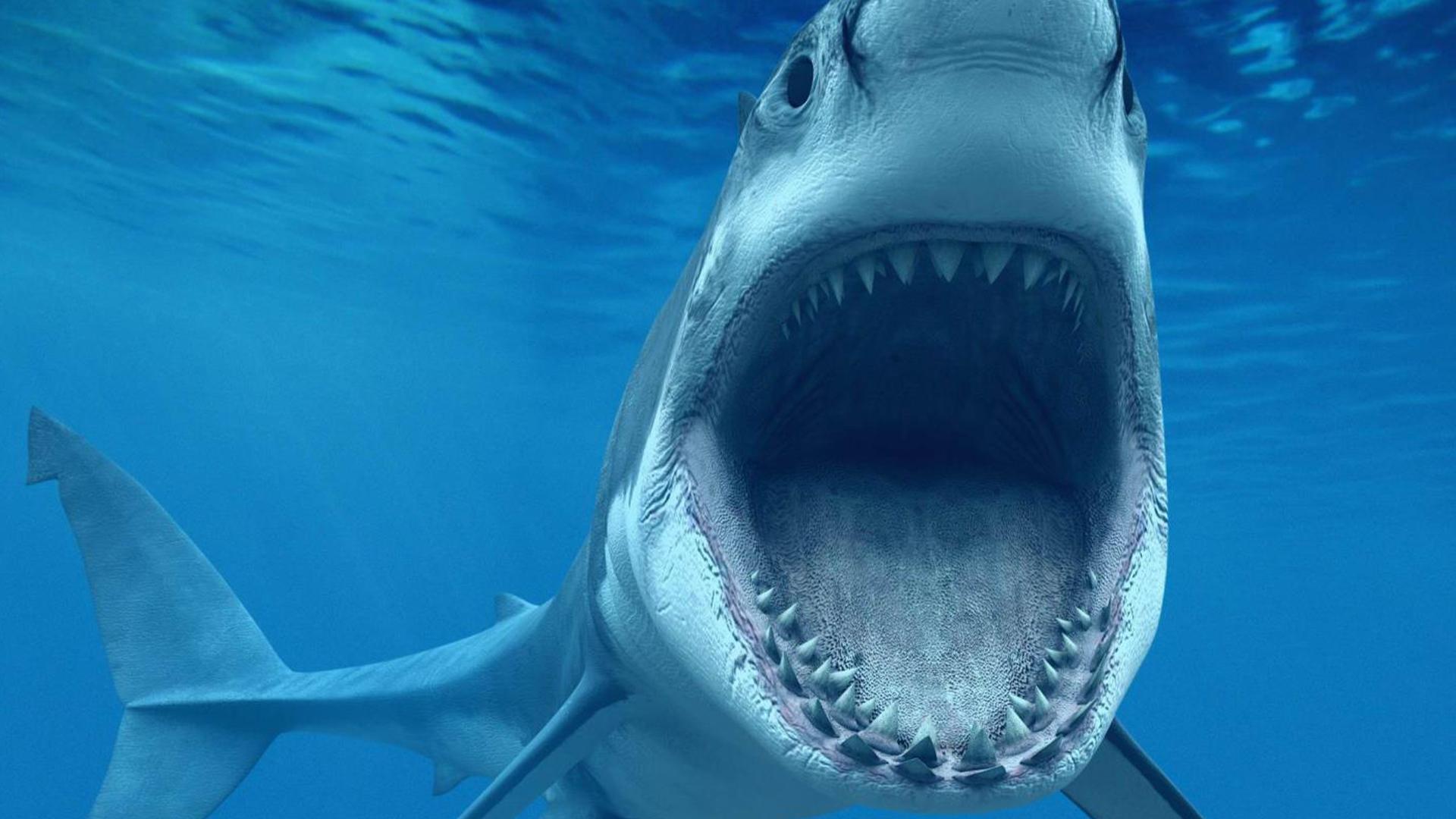 Гавайи: потерянный рай (gavaji-poterjannyj-raj) Познавательное