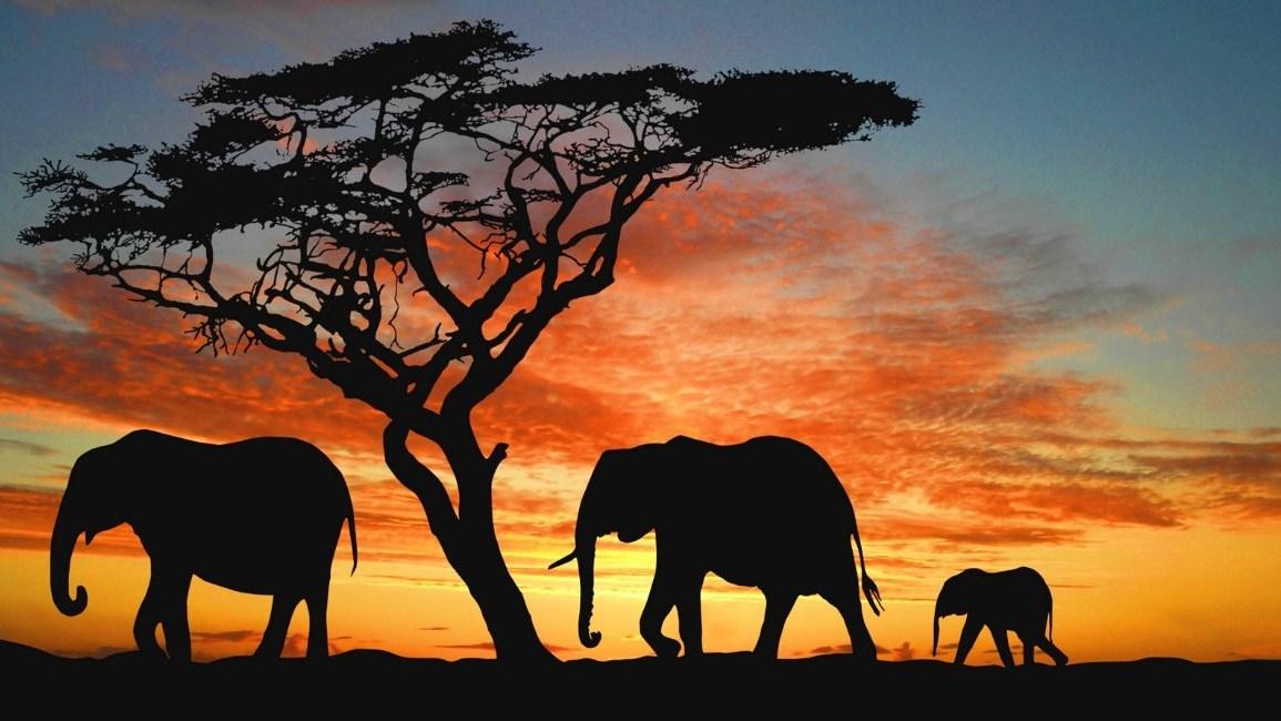 Национальный заповедник Яла (natsionalnyj-zapovednik-jala) Досуг, хобби