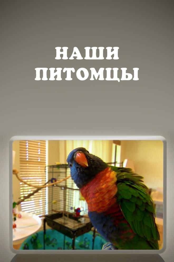 Наши питомцы (nashi-pitomtsy) Документальный сериал