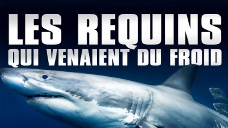 Постер Les requins qui venaient du froid