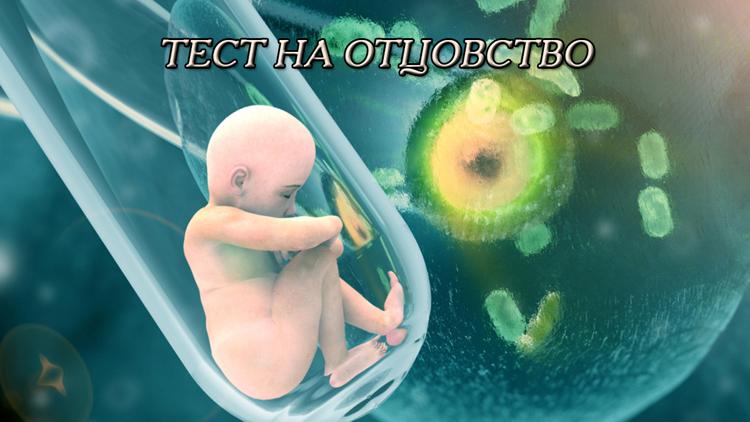 Постер Тест на отцовство