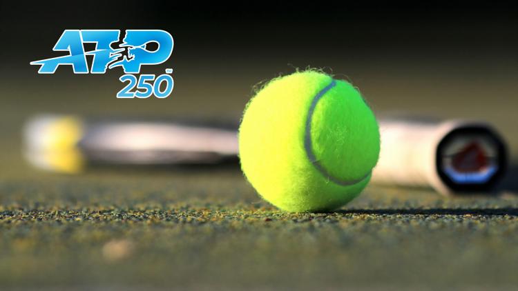 Постер Federer vs Dimitrov ATP 250 Brisbane