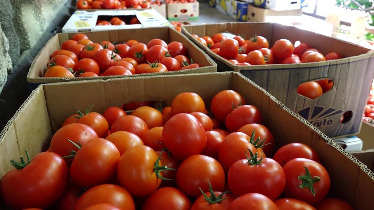 Ferma de familie (ferma-de-familie) Познавательное