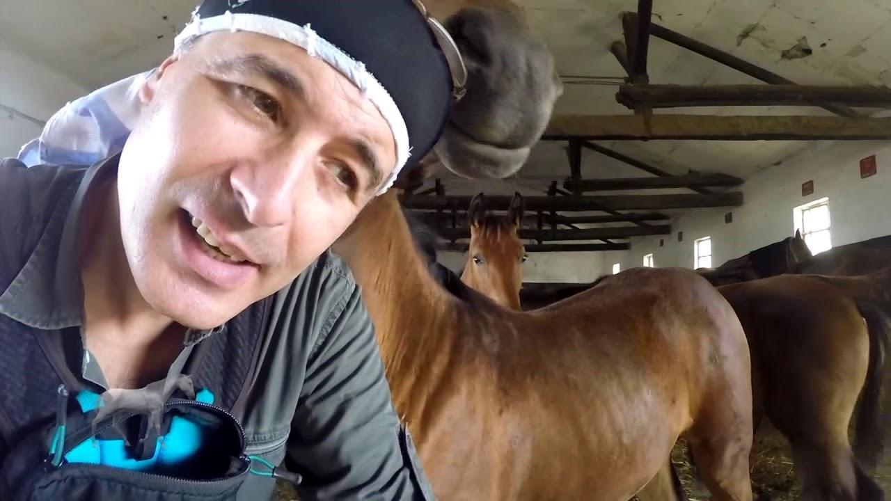 Descălecaţi în Carpaţi (desclecai-n-carpai) Документальный сериал