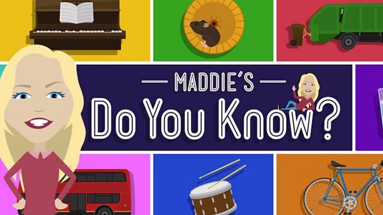 Постер Maddie's Do You Know?