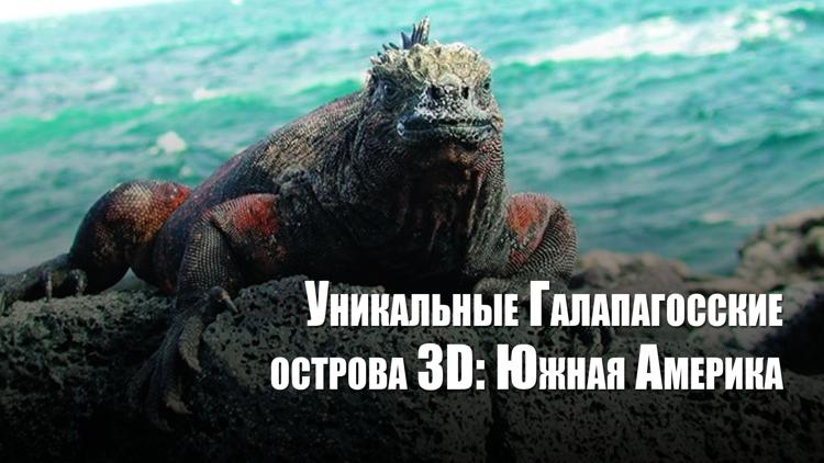 Постер Уникальные Галапагосские острова 3D: Южная Америка