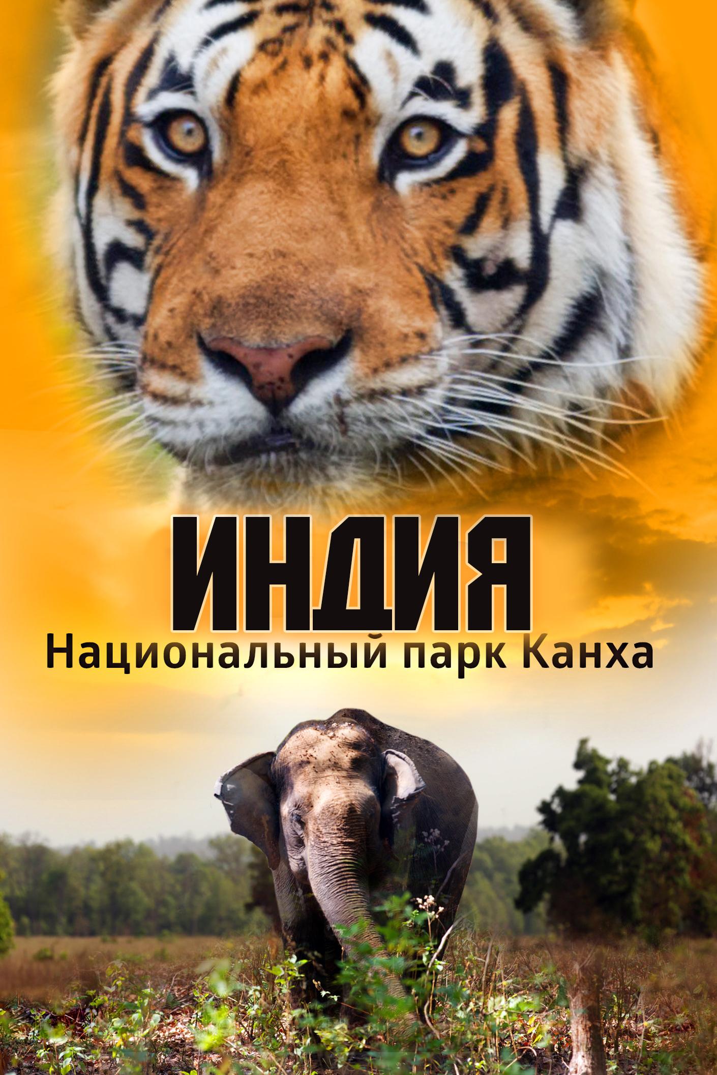 Индия: Национальный парк Канха (indija-natsionalnyj-park-kanha) Документальный фильм