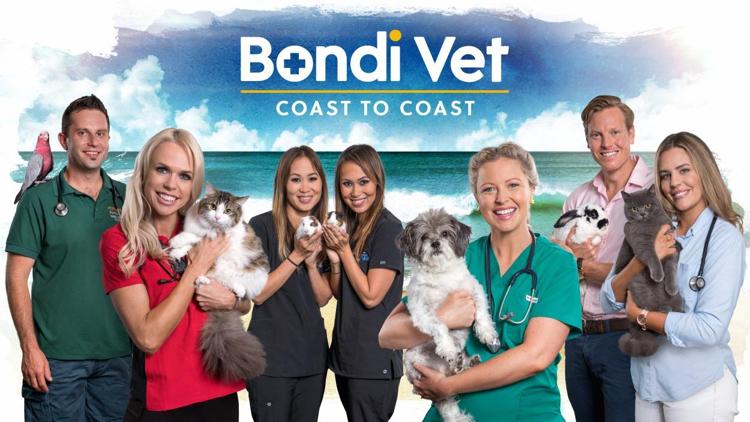 Постер Bondi Vet: Coast to Coast