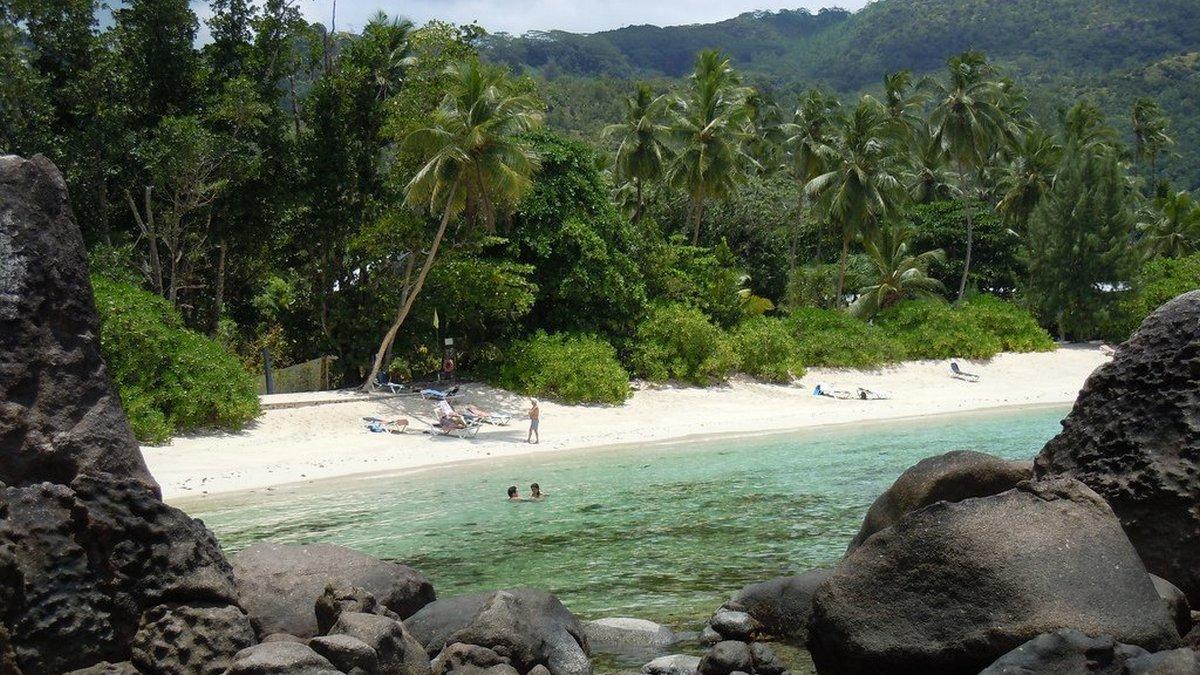 Secret Seychelles: d'Arros (secret-seychelles-darros) Документальный фильм