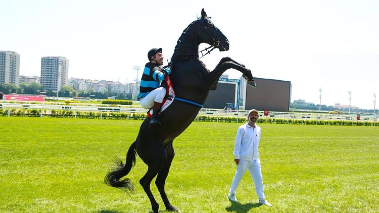 Постер Наш чемпион