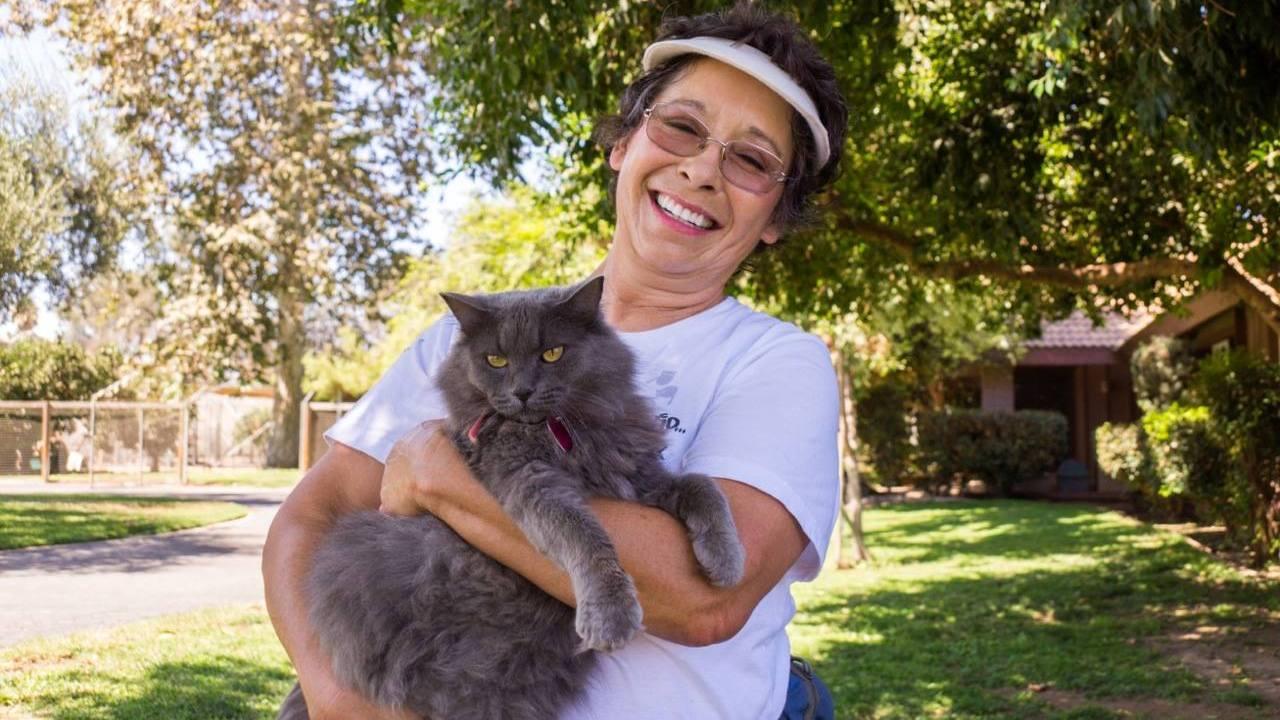 Кошкин дом (koshkin-dom) Документальный фильм