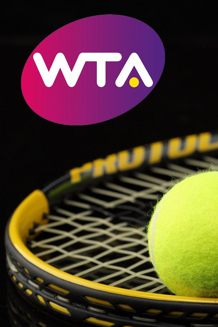 WTA. Нью-Йорк. Обзор (wta-nju-jork-obzor) Досуг, хобби