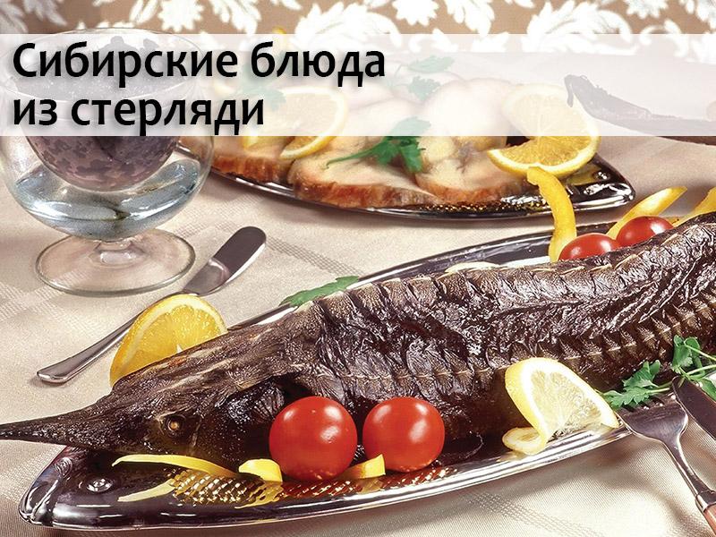 Сибирские блюда из стерляди (sibirskie-bljuda-iz-sterljadi) Документальный фильм