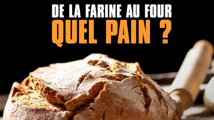 Постер De la farine au four, quel pain ?