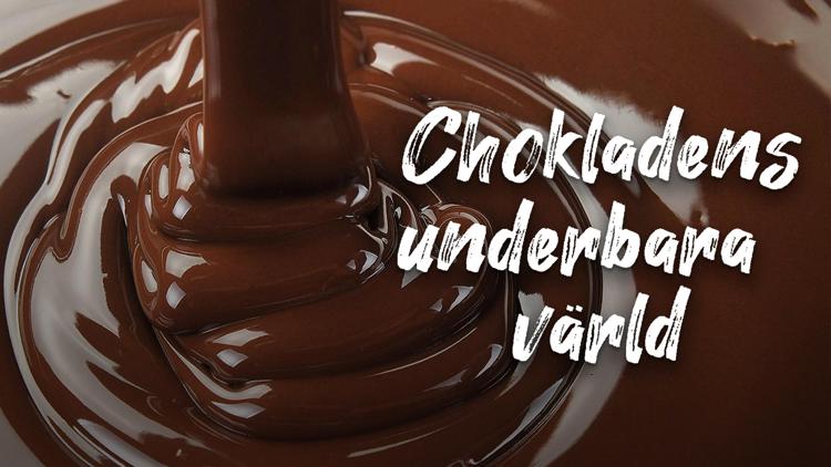 Постер Chokladens underbara värld