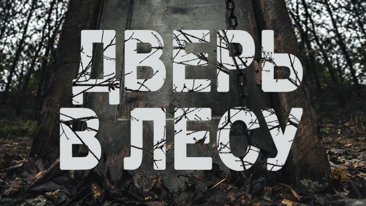 Постер Дверь в лесу