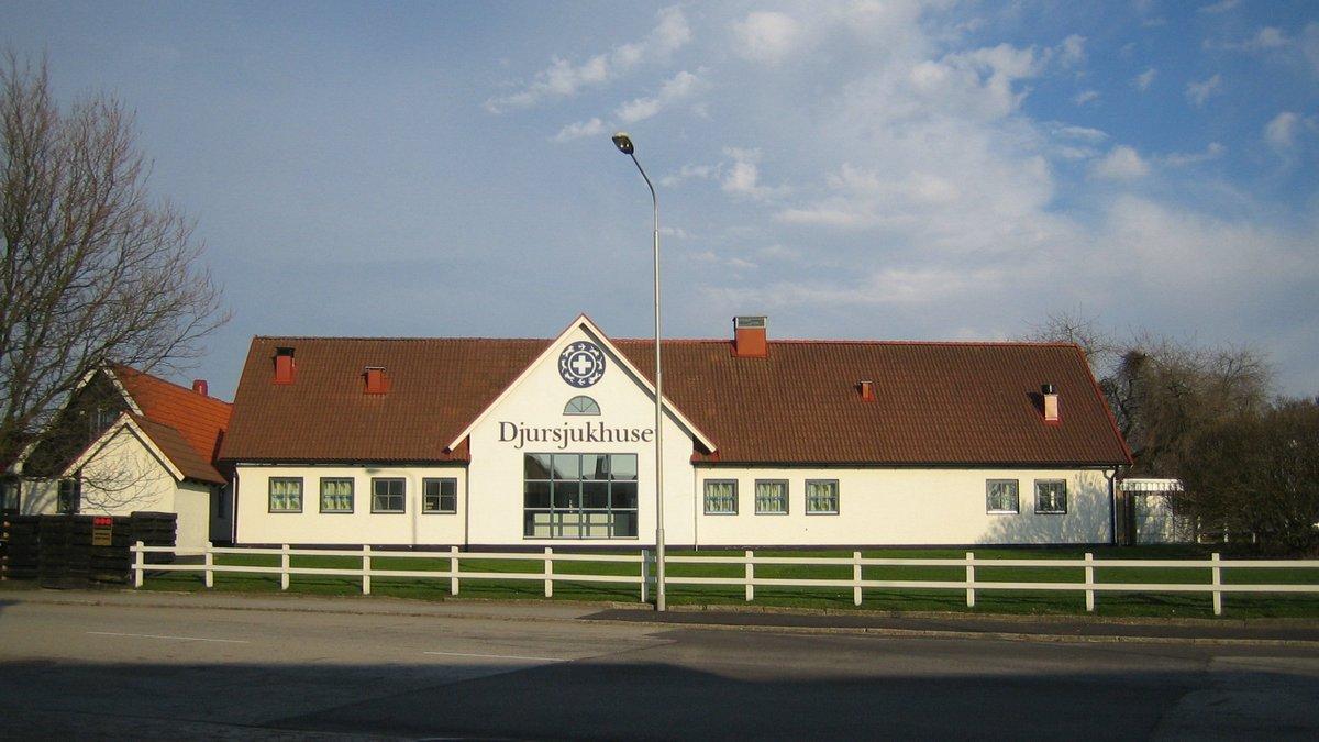 Djursjukhuset (djursjukhuset) Документальный сериал