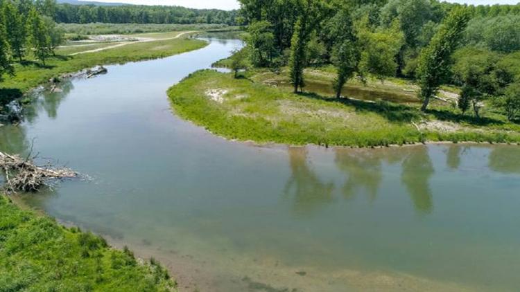 Постер Ein Fluss lebt auf-Die Revitalisierung der Traisen in Niederösterreich