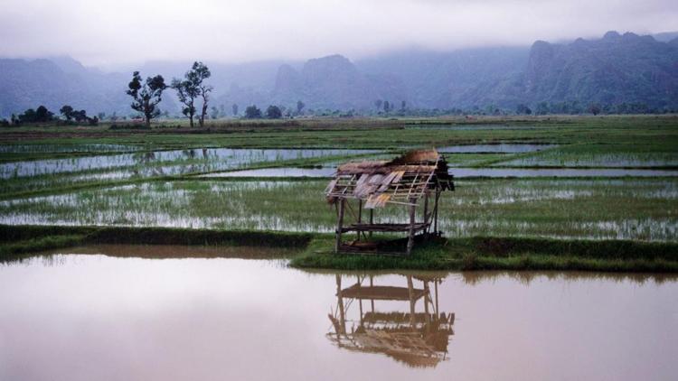 Постер Laos Wunderland