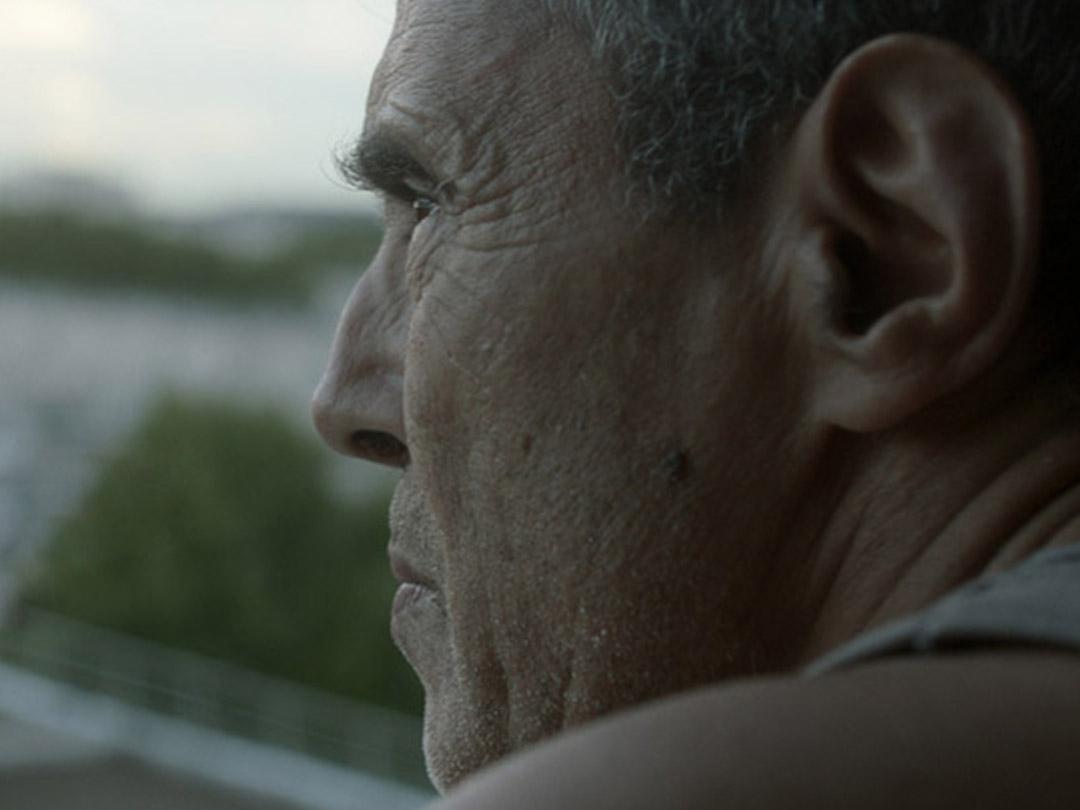 Канис (kanis) Фильм 2014