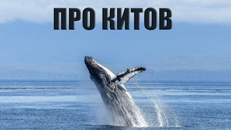 Постер Про китов