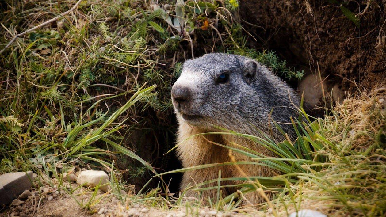 Les 20 chefs D'oeuvre de la nature (les-20-chefs-doeuvre-de-la-nature) Документальный сериал