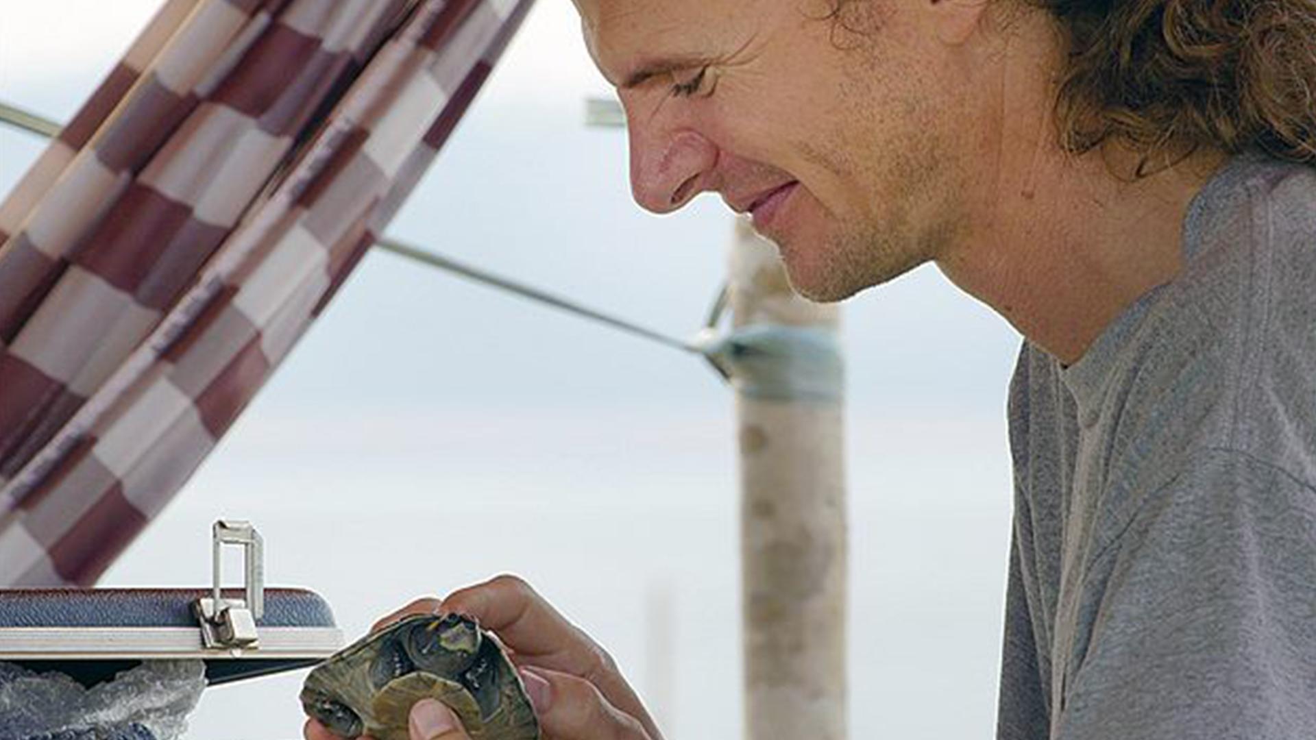 Turtle Hero (turtle-hero) Документальный фильм